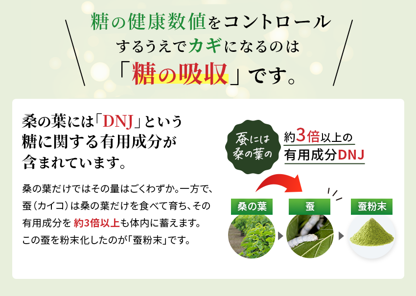 糖の健康数値をコントロールするうえでカギになるのは「糖の吸収」 です。