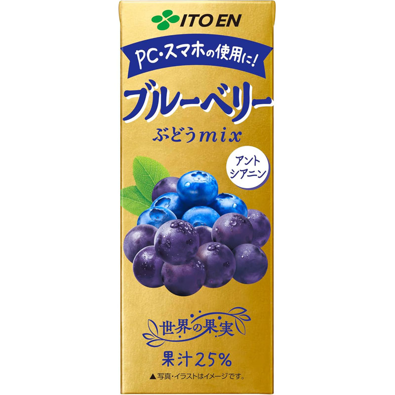 ブルーベリーぶどうmix 紙パック 200ml×24本　【送料無料】